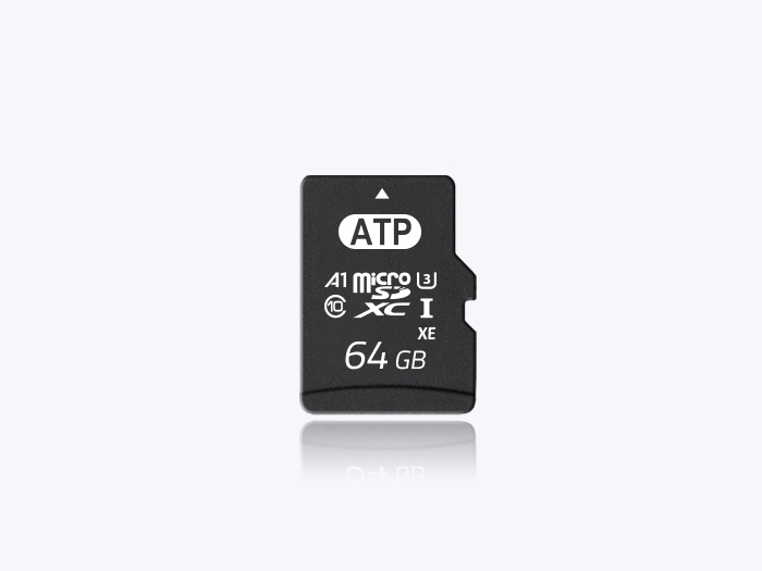 Industrial Micro SD cards